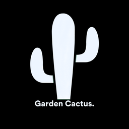 Back from the Summer Break 🌵